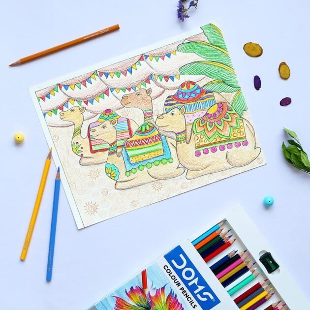 DOMS Colour Pencil 12 Shades – Half Size - Image 2